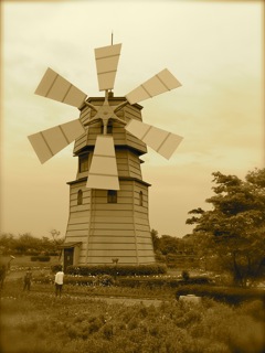 b0039373_8391974.jpg