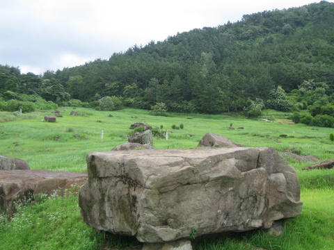 a0098874_15101997.jpg