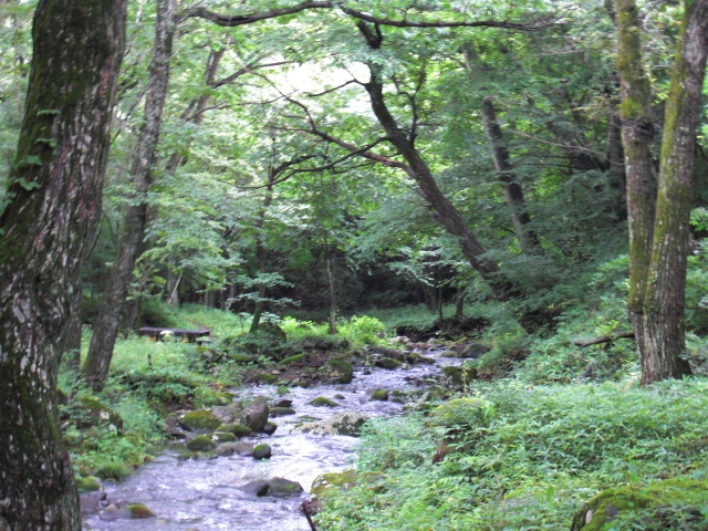 e0027681_21382995.jpg