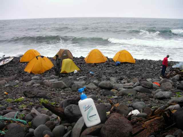 f0024281_928362.jpg