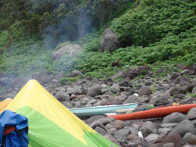 f0024281_9594815.jpg