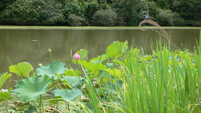 b0042882_1117339.jpg
