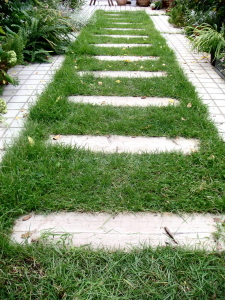 e0154682_22565332.jpg