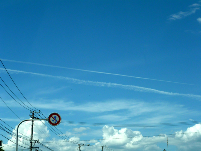 c0125283_8221184.jpg