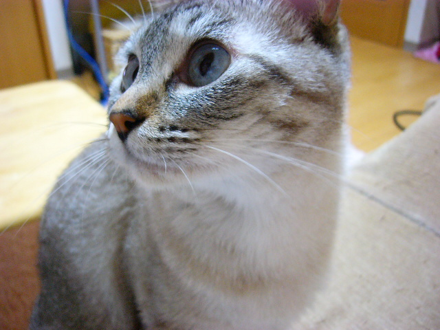 e0185485_18301789.jpg
