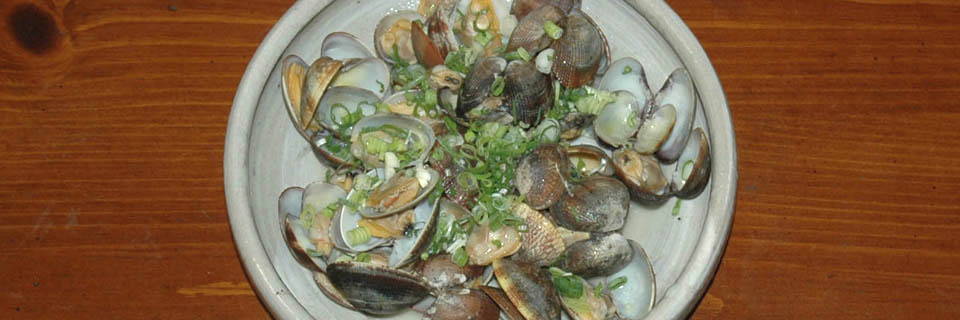 c0170789_15164463.jpg