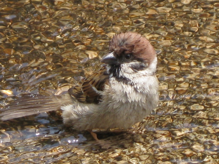 f0164989_0325828.jpg