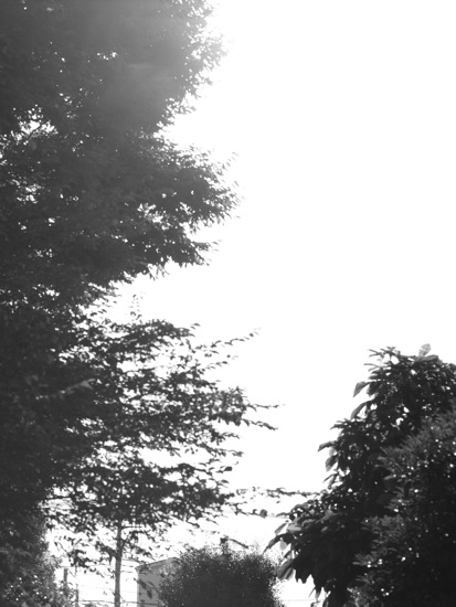 b0143292_21573886.jpg