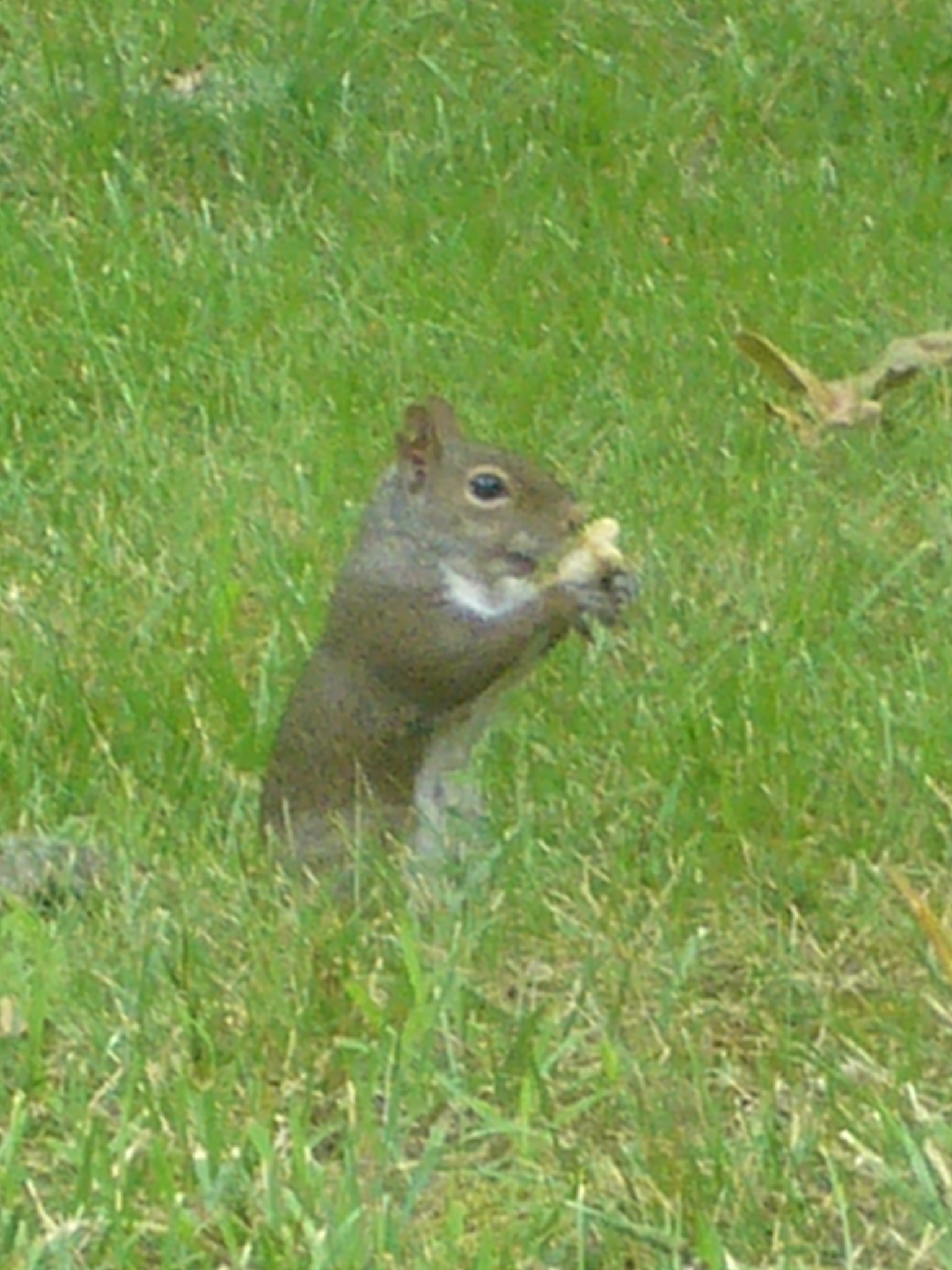 f0169397_700100.jpg