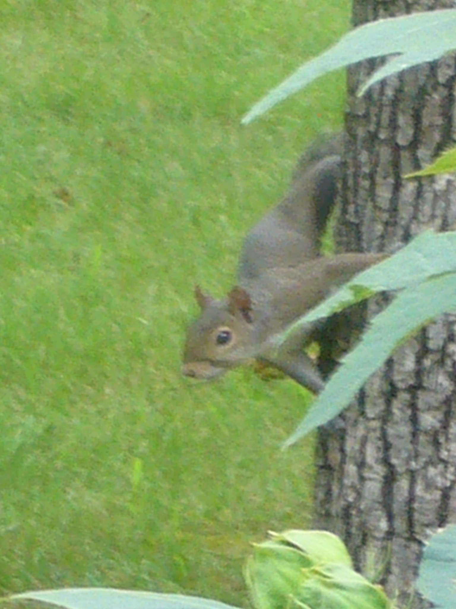 f0169397_701640.jpg