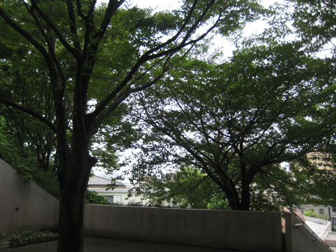 b0097200_23174732.jpg