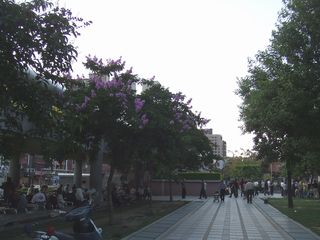 e0039100_16123362.jpg