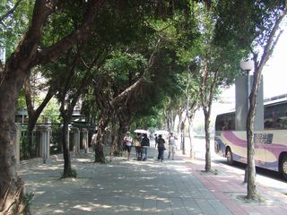 e0039100_16323914.jpg