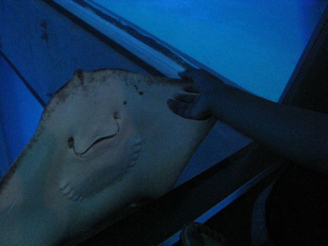 f0200501_1233563.jpg