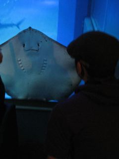 f0200501_142736.jpg