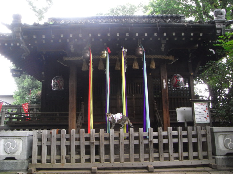 e0031605_22285368.jpg