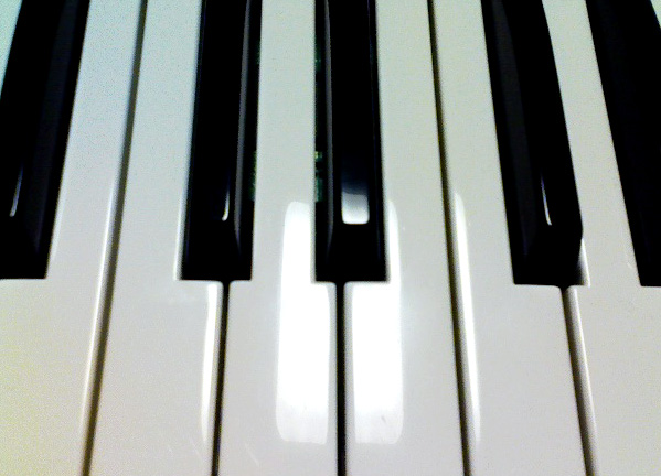 e0113306_248941.jpg