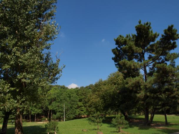 d0071507_8435514.jpg