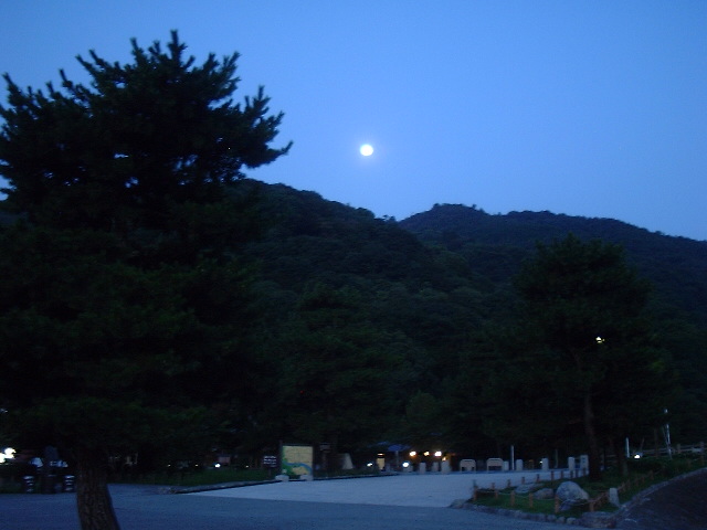 f0173908_13122093.jpg
