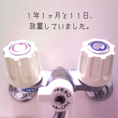 e0101411_15305697.jpg