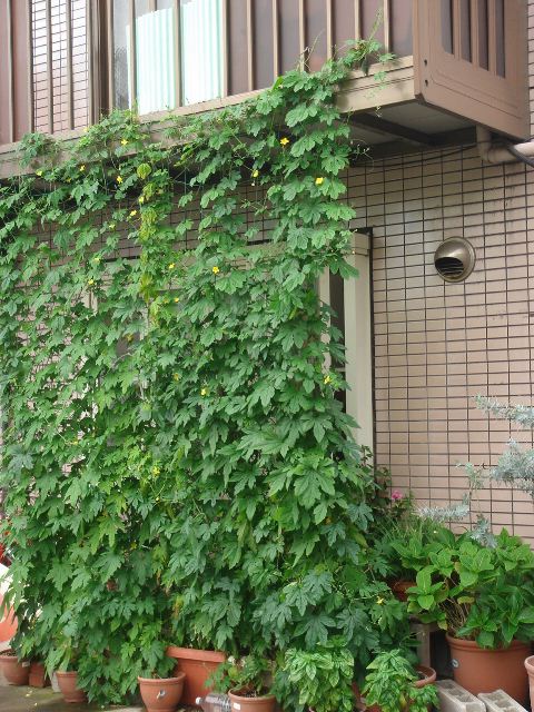 b0131618_14302478.jpg
