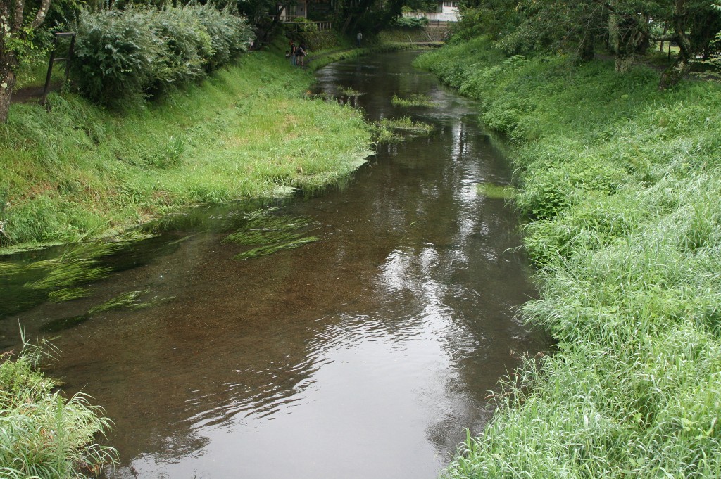 e0109622_1922547.jpg