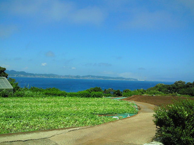 e0114823_1463425.jpg