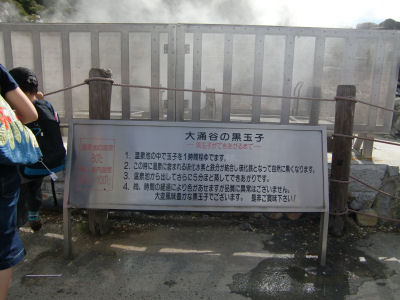 d0031826_119255.jpg