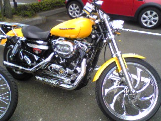 a0099129_23515464.jpg