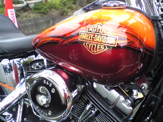 a0099129_23532562.jpg