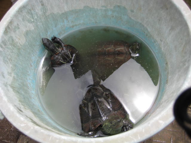 e0166032_18183185.jpg
