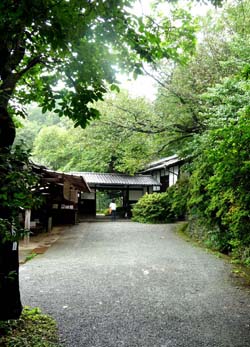 b0035734_1982144.jpg