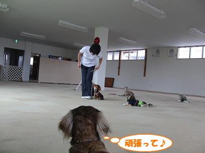 f0186040_1937642.jpg