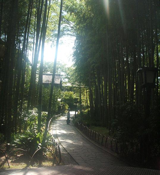 c0011342_23303537.jpg