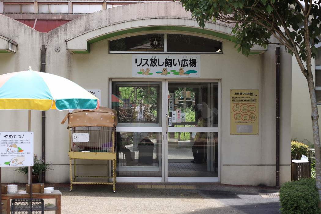 d0133343_028815.jpg