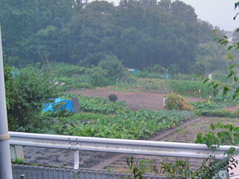 c0086746_2312465.jpg