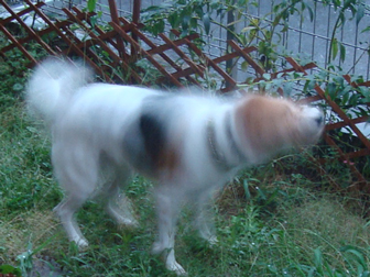 c0086746_23131629.jpg
