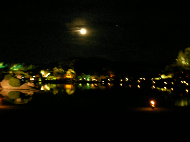 e0098547_1241330.jpg