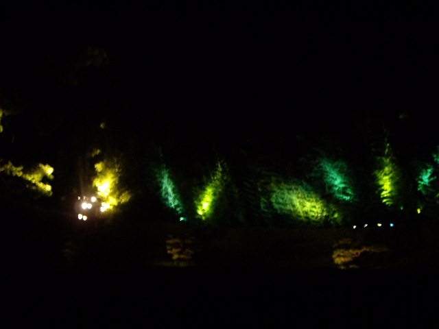 e0098547_1281721.jpg