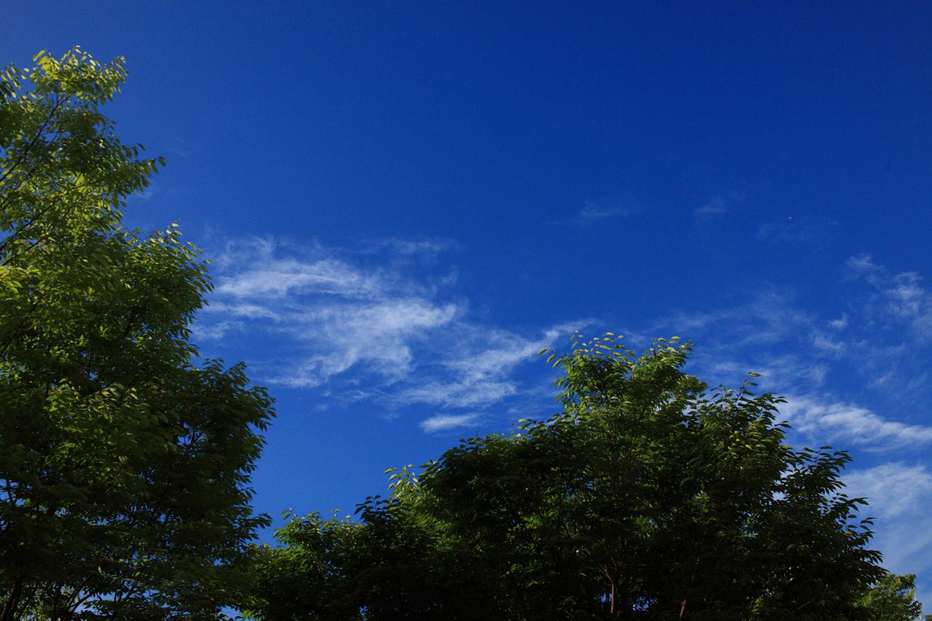 f0133847_7223662.jpg