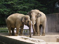 b0163750_13512337.jpg