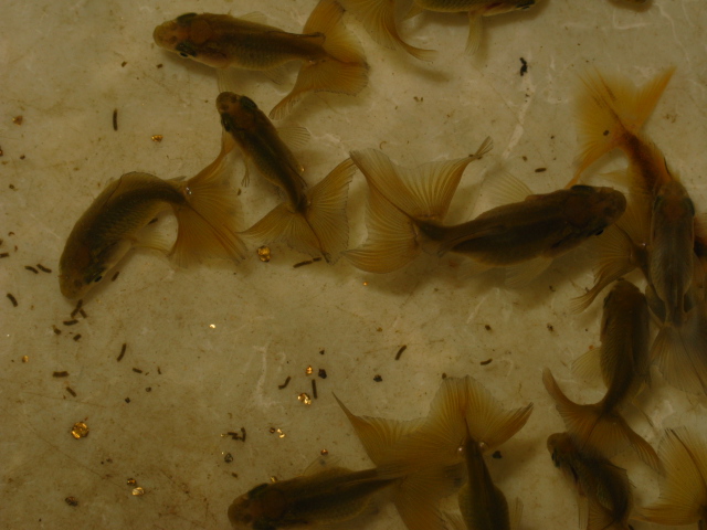 f0198950_2342765.jpg