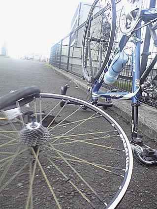 c0179152_017370.jpg