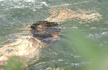 c0145453_7141627.jpg