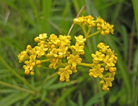 a0001354_2011459.jpg
