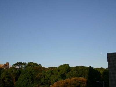 d0054461_740359.jpg