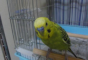 f0196665_0281857.jpg