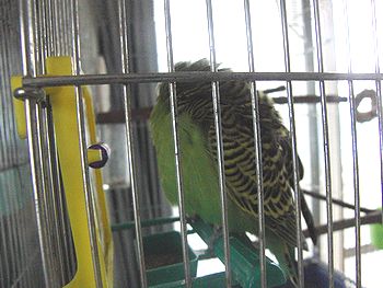 f0196665_2342374.jpg