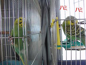 f0196665_23454218.jpg