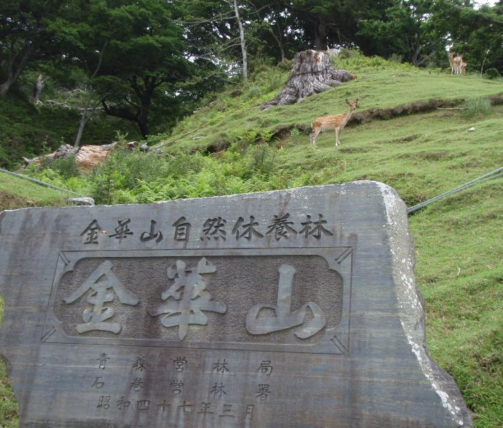 f0133770_235348.jpg